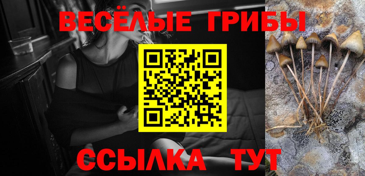 Галлюциногенные грибы Magic Shrooms  Вход с VPN  Чайковский  Галлюциногенные грибы прущие грибы 